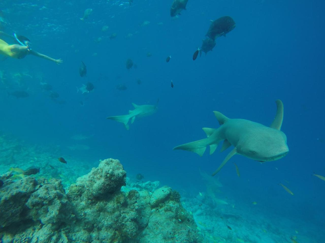 Zeestar Inn Maafushi Εξωτερικό φωτογραφία